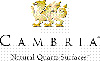 cambria logo