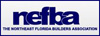 nefba logo